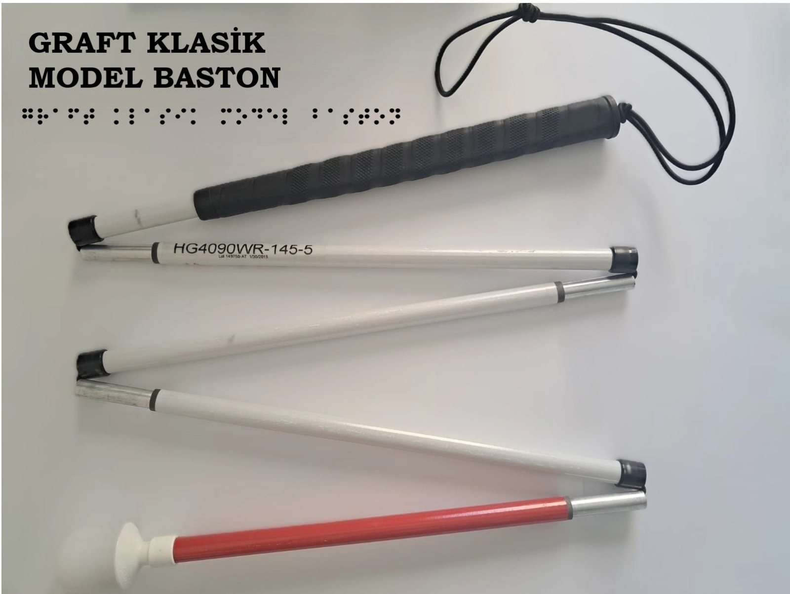 Graft%20Kanada%20Bastonu