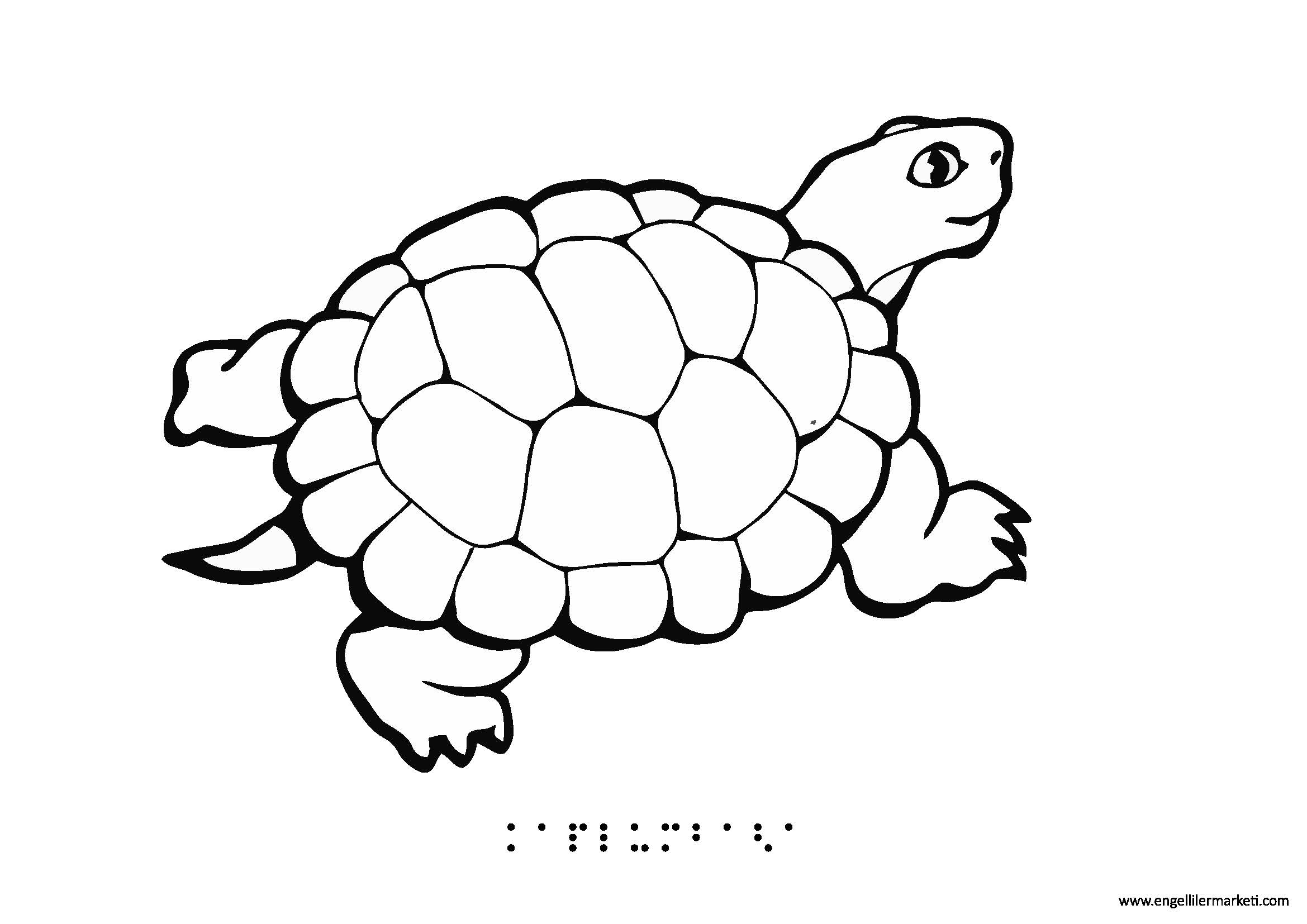 Tactile%20Animal%20Shape-Turtle