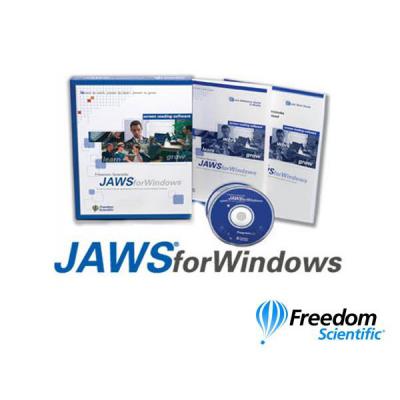 JAWS for windows Screen Reader