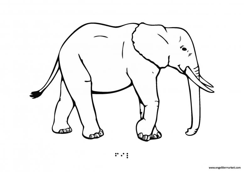 Tactile Animal Shape-Elephant