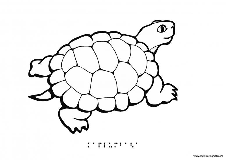 Tactile Animal Shape-Turtle