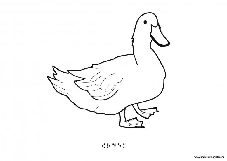 Tactile Animal Shape-Duck