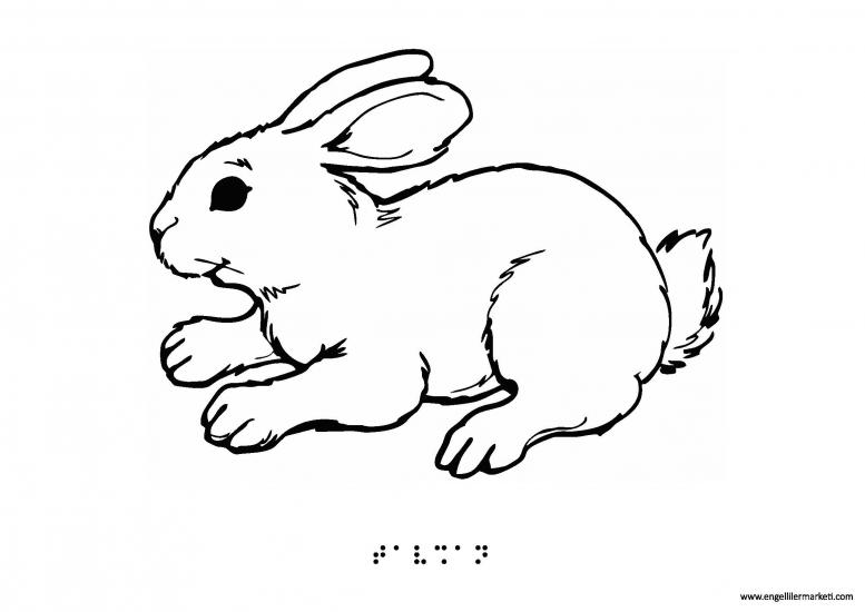 Tactile Animal Shape-Rabbit