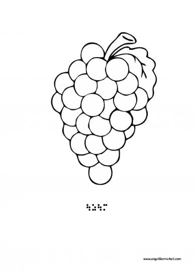 Tactile Fruit Shape-Grape